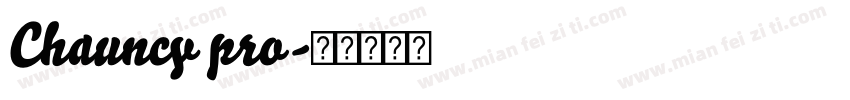 Chauncy pro字体转换